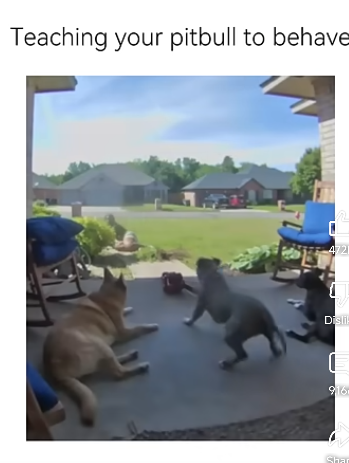 1747882661708.png